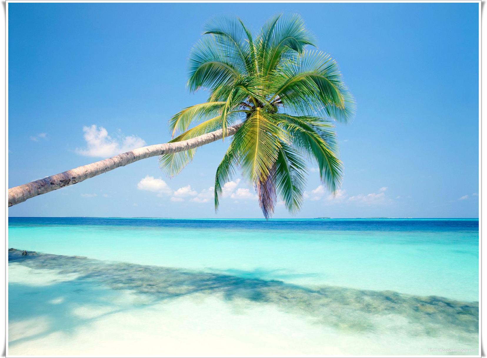 https://d3r8gwkgo0io6y.cloudfront.net/upload/colva beaches.jpg